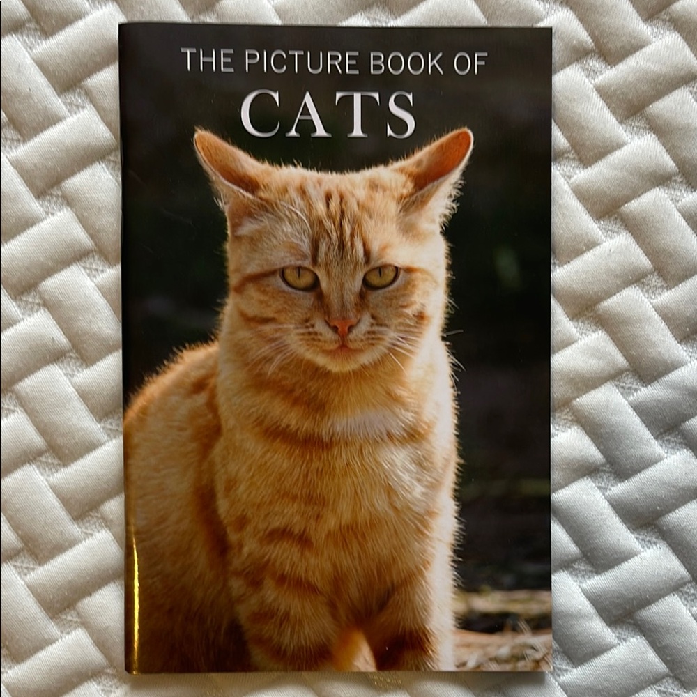 The Picture Book of Cats - NEW - Book 01 Feline Photography